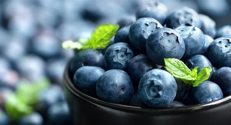 bigstock-Blueberry-antioxidant-organic--64824361 - Copy.jpg