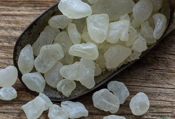 gum mastic b1.jpg