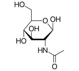 n-acetyl-glucosamine.jpg
