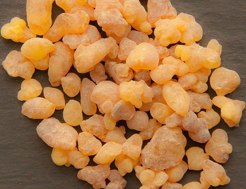 boswellia-sacra-1590063_1280.jpg